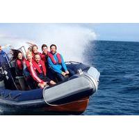 private group powerboat ride in brighton