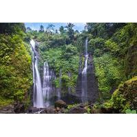 private sekumpul waterfall trekking tour