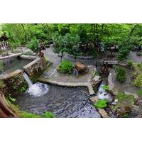 Private Tour: Masukiye, Sapanca,...