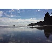 Private Tour of Piha and KiteKite Falls from Auckland