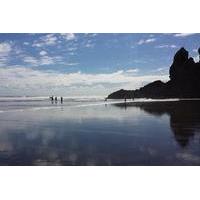 private tour of piha and kitekite falls from auckland