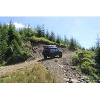 Private Off Road Tour to the Carpathian Mountains from Bucharest