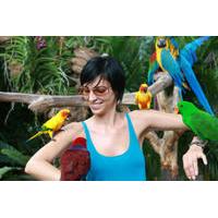 private tour singapores jurong bird park tour