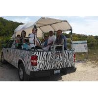 Providenciales Sightseeing Tour including The Conch Farm