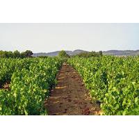 Provence Wine Workshop from Mars...