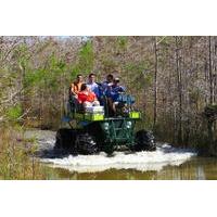 Private Buggy and Walking Tour Through the Everglades