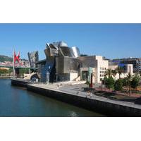 Private Tour: Guggenheim Bilbao Museum