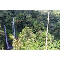 Private Tour: Jatiluwih Rice Terrace and Munduk Waterfall Tour
