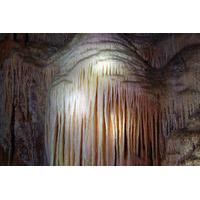 Private Tour: Blue Mountains and Jenolan Caves Day Trip from Sydney