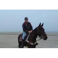 Private Tour: Normandy Thoroughbred Horse Studs with Optional Horseback Riding from Bayeux