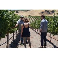 Private Winemaker\'s Wine Tour of Santa Barbara and Santa Ynez Valley