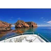 private tour berlenga grande island day trip from lisbon