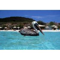 Private Curaçao Beaches Tour Including Kenepa Beach