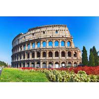 private tour colosseum imperial forum and palatine hill