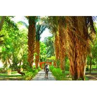 Private Felucca Tour: Aswan Botanic Gardens