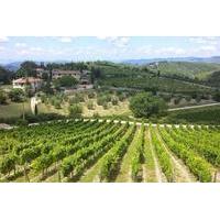 private tour chianti region tour by minivan