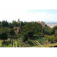 Private Full Day Tour to the Alhambra from Marbella