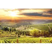Private Best of Chianti Classico Tour 2 Delicious Wine Tastings and 3 Charming Medieval Villages with Wine and Dine in the Chianti Vineyards
