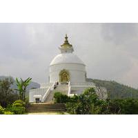 private hiking tour to peace pagoda including fewa lake boating