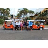 Private Custom Tour: Half-Day Rarotonga Island by Electric Tuk Tuk