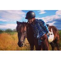 private horse riding tour on lfarsfell mountain with pickup from reykj ...