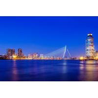 private tour to rotterdam delft and leiden from amsterdam