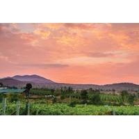 Private Day Trip to a Vineyard Including Wine Tasting and Lunch from Bangalore