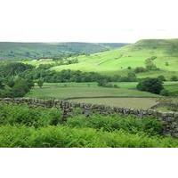 Private Yorkshire Dales Day Trip from York