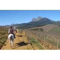 Private Wine Country Tour with a Twist from Cape Town