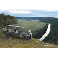 Private Amakhala Private Game Reserve Day Tour from Port Elizabeth