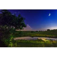 Private Bohol Evening Firefly Watching Cruise