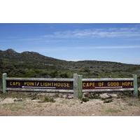 private tour cape point and constantia valley wine region from cape to ...