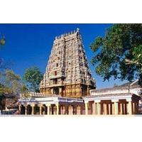 Private Tour: Madurai Day Tour of Gandhi Museum and Meenakshi Amman Temple