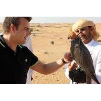 Private Tour: Dubai Falconry Experience with Wildlife Drive and Optional Breakfast