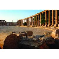 Private Day Tour: Amman and Jerash from the Dead Sea