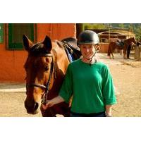 private half day tour in natural park with horseback riding in barcelo ...