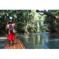Private Dunn\'s River Falls and Martha Brae River Rafting Tour from Negril