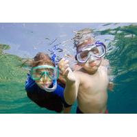 Private Snorkeling to Egmont Key and Shell Key