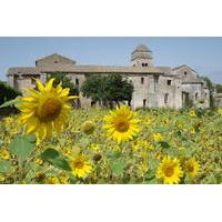 Private Provence Tour: In the Footsteps of Van Gogh