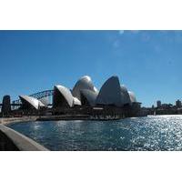 private tour sydney sightseeing experience