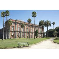 Private Tour: Capodimonte Museum in Naples