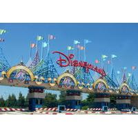 Private transfer from Charles de Gaulle or Orly Airport to Disneyland