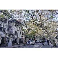 Private Walking Tour: Xintiandi and Hengshan Road in Shanghai