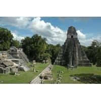 Private Tikal Maya City Tour Including Lunch