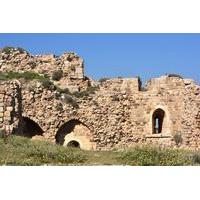 Private Half Day Kerak: Kings Highway Tour from Amman