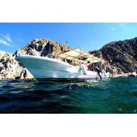 Private Tour: Sightseeing Cruise in Cabo San Lucas