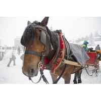 private tour lake tahoe sleigh ride