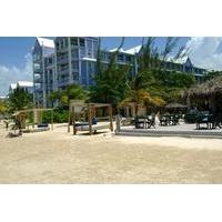 Private Dunn\'s River Falls Tour and Blu Beach Experience