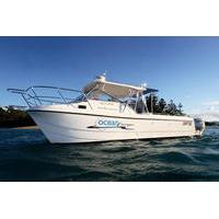 private half day or full day hamilton island or airlie beach charter