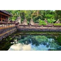 Private Shore Excursion: Highlights of Bali